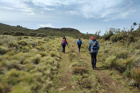 Aberdare Highlands: North to West Trekking Experience