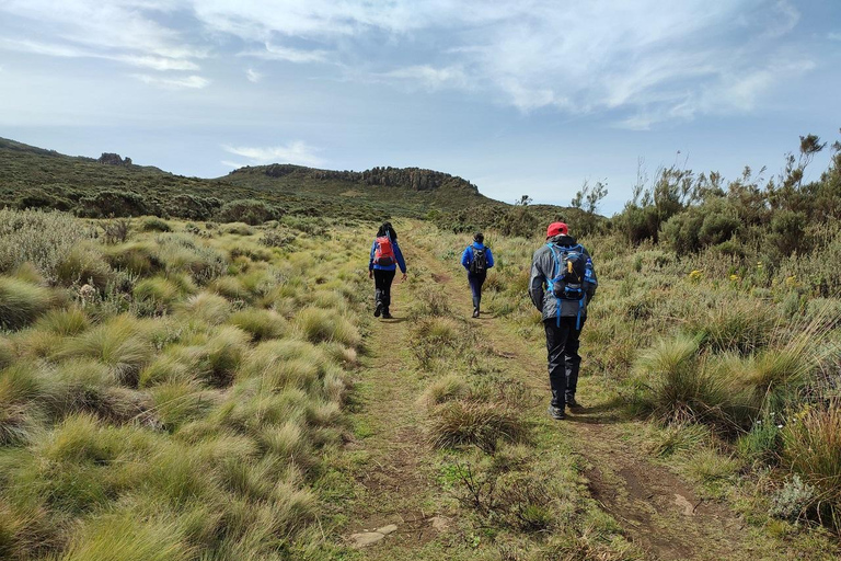 Aberdare Highlands: North to West Trekking Experience