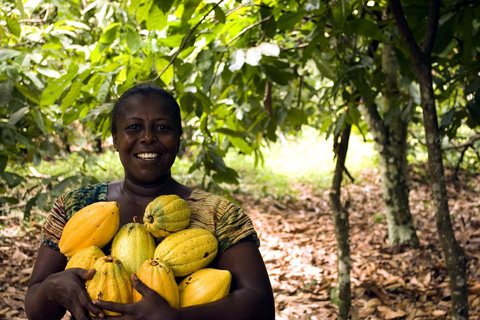 Boti Falls & Aburi Gardens Tour