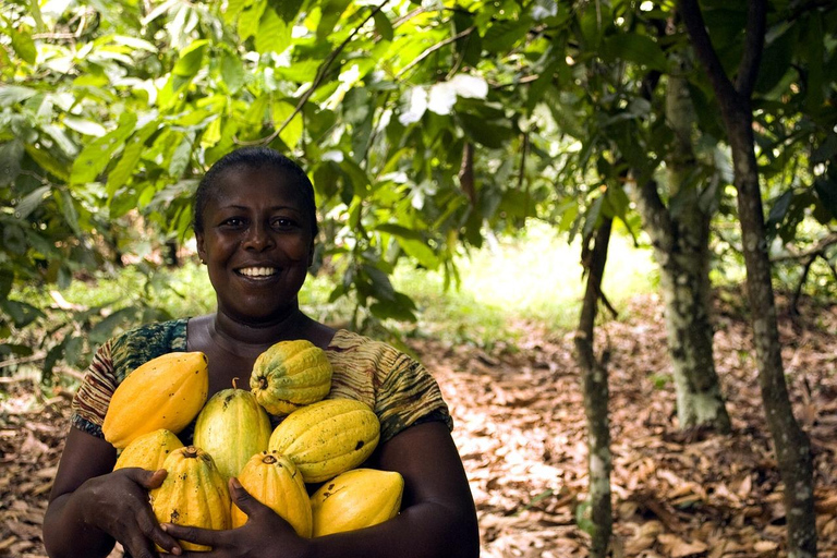 Boti Falls & Aburi Gardens Tour