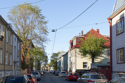 Tallinn: Panoramic Tour by Private Vehicle