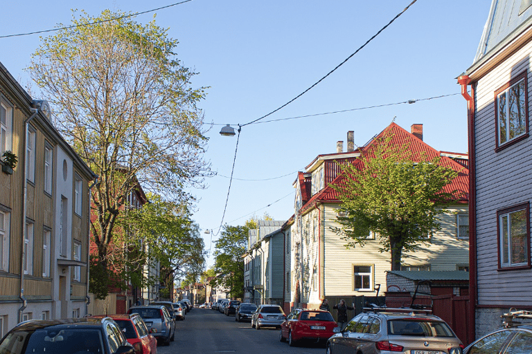 Tallinn: Panoramic Tour by Private Vehicle