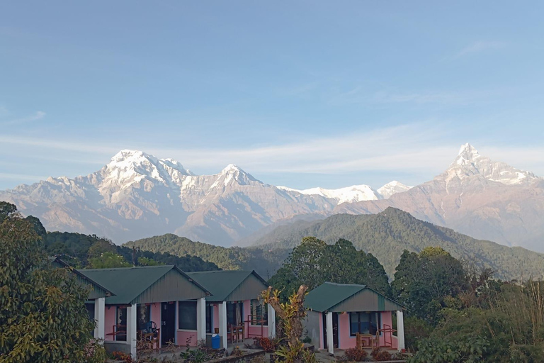 Pokhara: Geführte Tageswanderung von Dampus zum Australian Base Camp