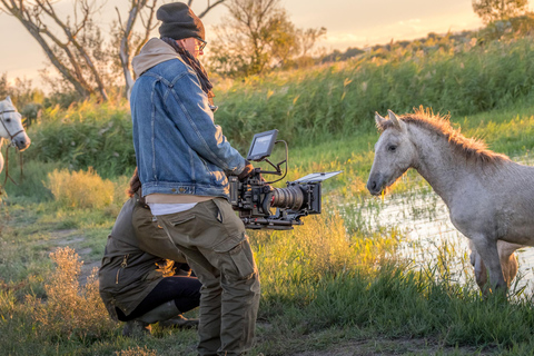 Camargue: Fotoworkshop in den Sümpfen mit freilaufenden Pferden