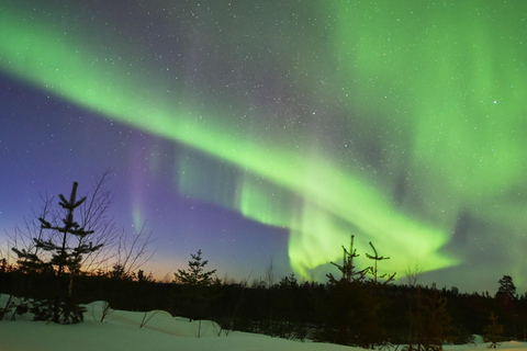 Rovaniemi: Private Aurora Hunting Tour with MealRovaniemi: Private Aurora Hunting Tour with Dinner