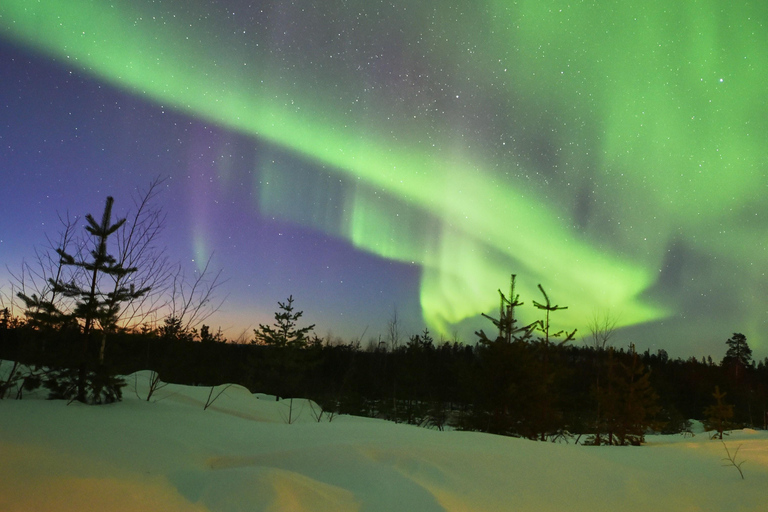 Rovaniemi: Private Aurora Hunting Tour with MealRovaniemi: Private Aurora Hunting Tour with Dinner