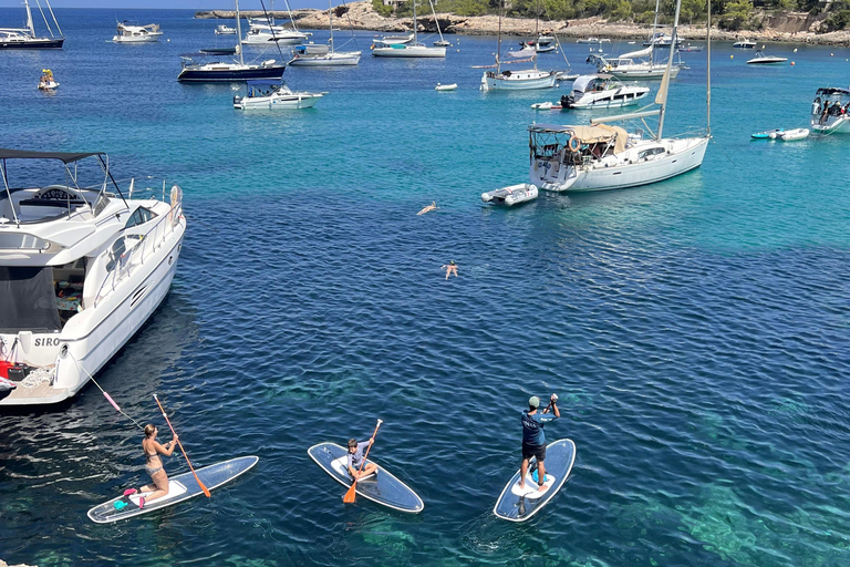 Experiencia Crystal paddle sup Tours + snorkel