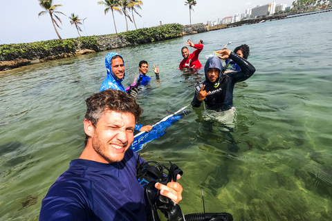 Puerto Rico: Snorkeling with Turtles Adventure