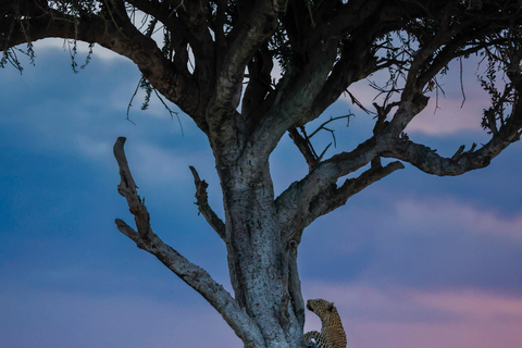 Arusha: 3-Day Tanzania Budget-Friendly Camping Safari