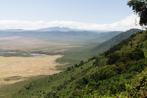 Arusha: Safari di 4 giorni al Lago Manyara, Serengeti e Ngorongoro