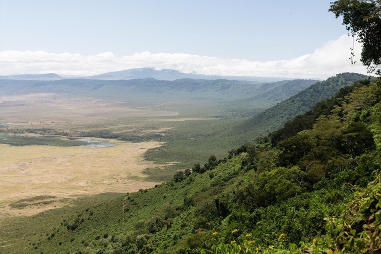 Arusha: Safari de 4 días al Lago Manyara, Serengeti, Ngorongoro