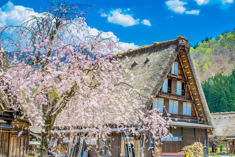 Nagoya:Shirakawa-go Gassho Village&Takayama Old Town Tour