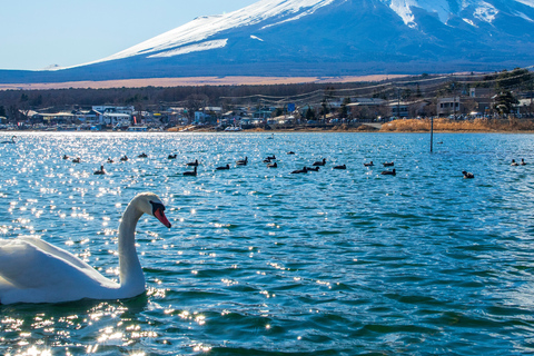 Tokyo To:Mount Fuji And Lake Kawaguchi Full Day Private Tour