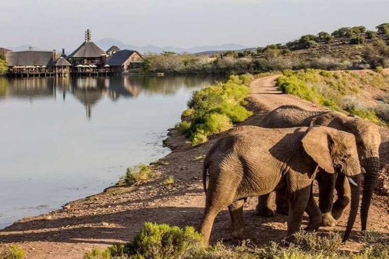 Au départ du Cap : 4 jours d'excursion de luxe sur la Route des jardins