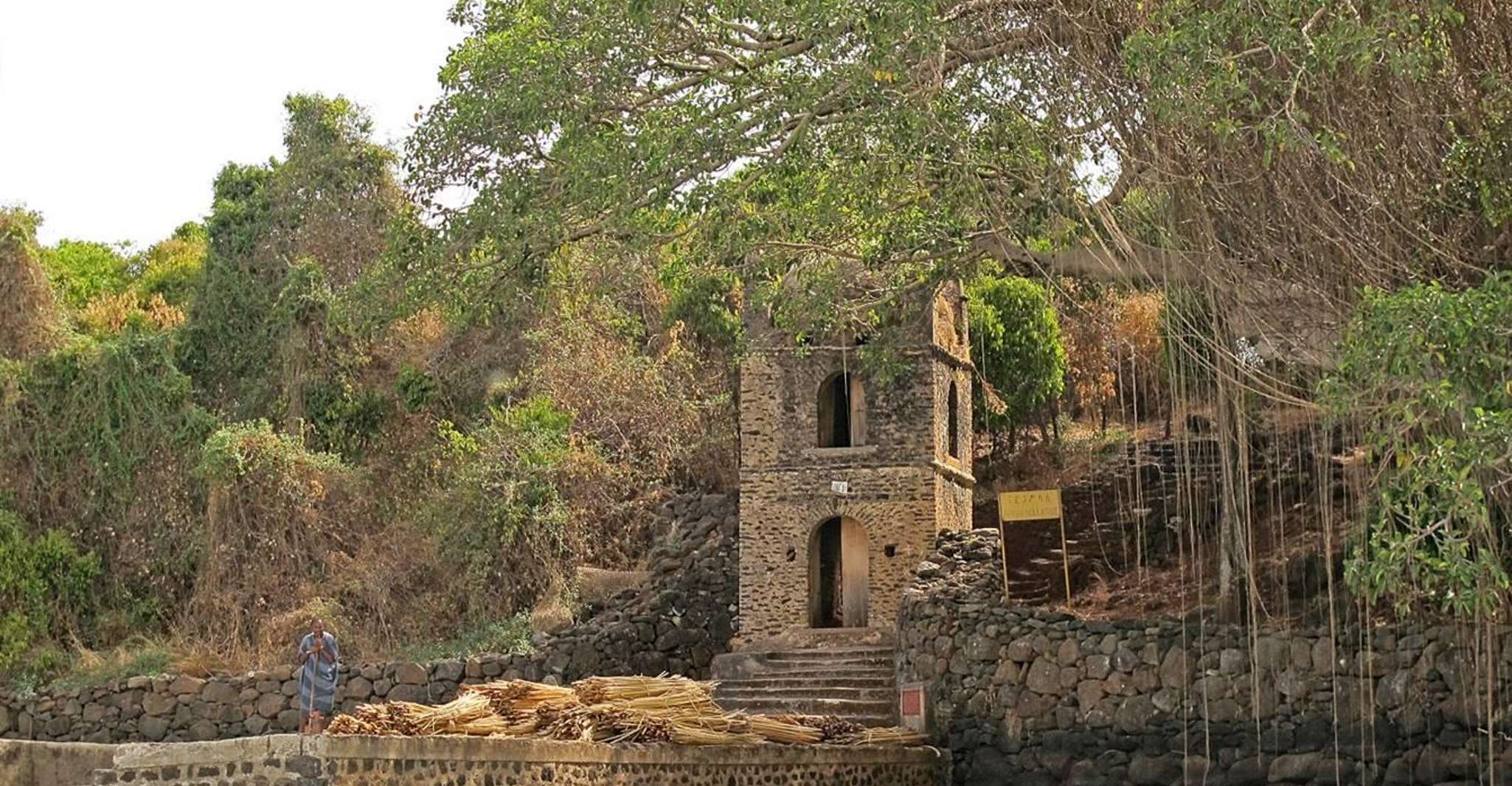 Tagestour in Bahir Dar - Hizvo