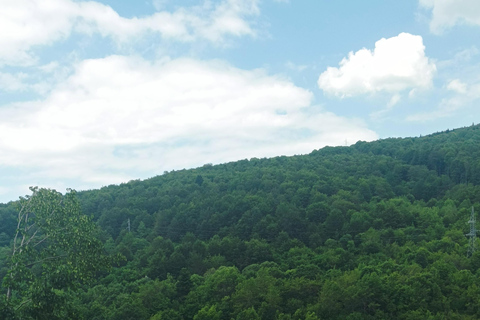 Skopje : Tetovo, Mavrovo, Galicnik et John Bigorski - Excursion d'une journéeSkopje : excursion d'une journée à Tetovo, Mavrovo, Galicnik et John Bigorski