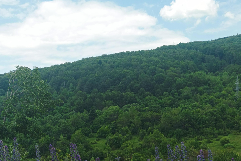 Skopje : Tetovo, Mavrovo, Galicnik et John Bigorski - Excursion d'une journéeSkopje : excursion d'une journée à Tetovo, Mavrovo, Galicnik et John Bigorski