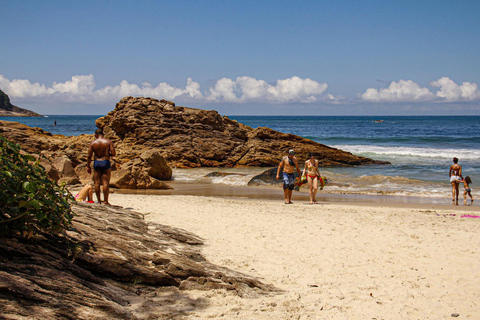 Randonnée dans la forêt de Paraty et plongée en apnée sur la plage : visite d&#039;une jounée