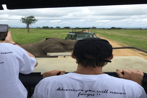 Serengeti: 3 Tage gemeinsame Gruppensafari