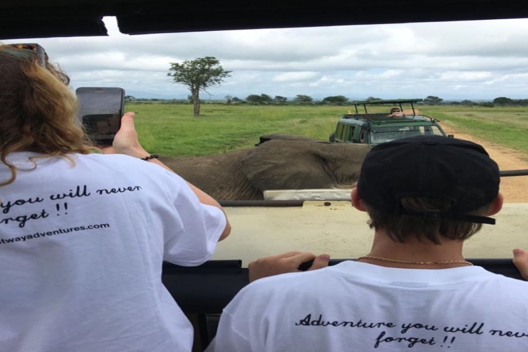 Serengeti : 3 jours de safari en groupe mixte