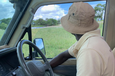 Arusha : safari dans le parc national d&#039;ArushaArusha : Safari dans le parc national d&#039;Arusha