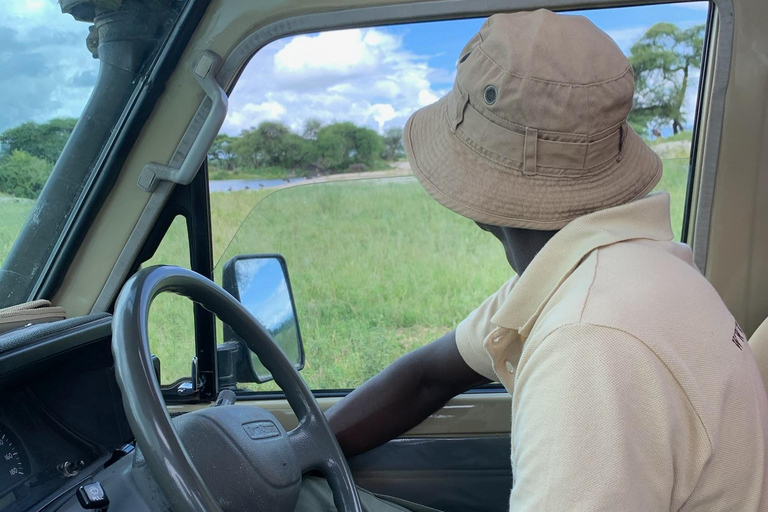 Arusha : safari dans le parc national d&#039;ArushaArusha : Safari dans le parc national d&#039;Arusha