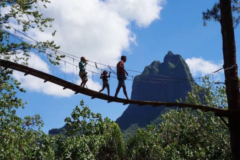 Demi-journée privée à Moorea : randonnée 3 pinus & accrobranche