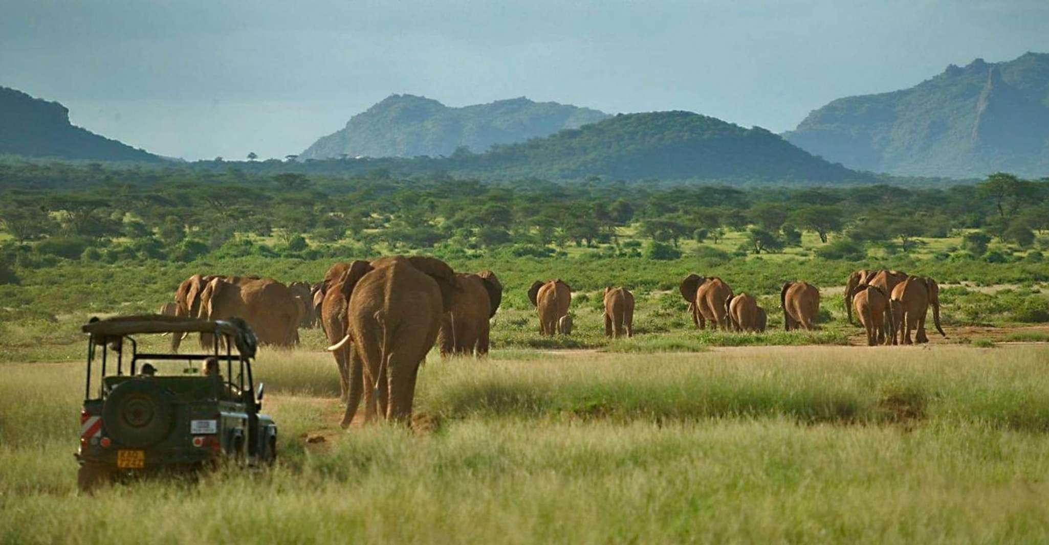 3 giorni, 2 notti pacchetto Samburu Safari - Hizvo