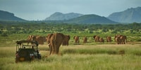 3 jours, 2 nuits Samburu Safari Package - Hizvo