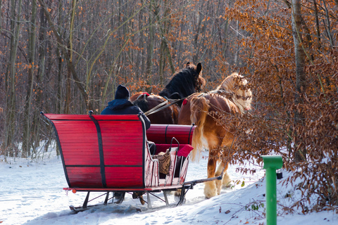 Zakopane: Passeggiate a cavallo con guida locale e degustazione di ciboInverno: Giro in slitta sulla neve