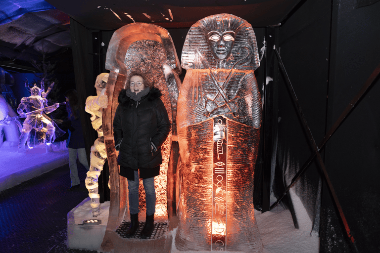 Biddinghuizen: Dutch Ice Sculpture Festival Entry Ticket