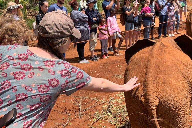 Elefantföräldrahemmet och Giraffcentret - rundtur med tillvalElefantbarnhem och Giraffcenter - rundtur utan inträdesavgift