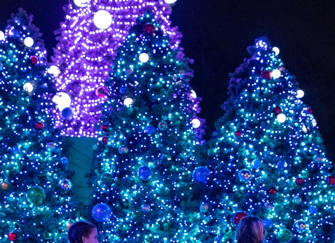 Tampa: ZooTampa i Lowry Park – billet med feriemulighed