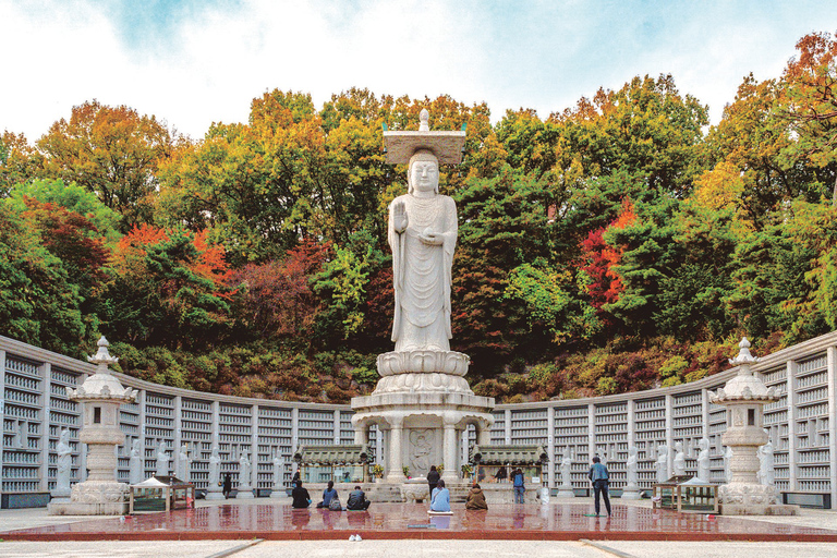 Seoul: Han River Yacht Cruise, Seoul Forest, Private Tour
