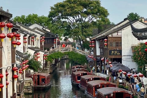 Shanghai: Giant Pandas & Suzhou Day Trip by Bullet Train