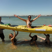 From Perth: Rockingham Seal & Penguin Islands Sea Kayak Tour