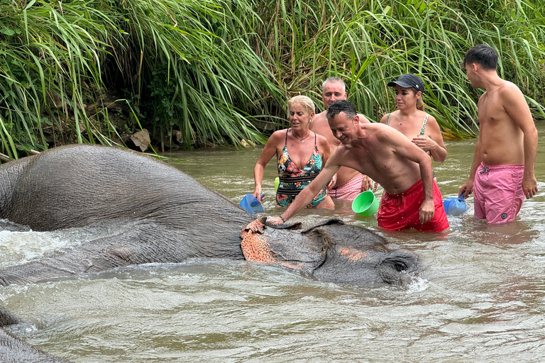 Chiang Mai : Sanctuaire des éléphants, sentier des moines et visite du Doi SuthepPrise en charge en hôtel à Chiang Mai Center