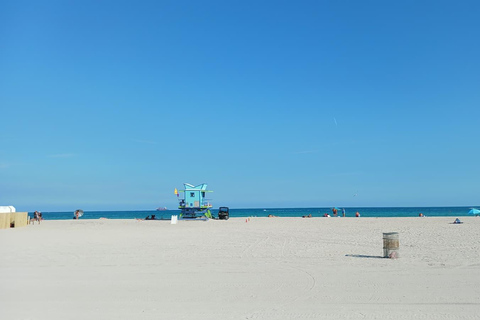 Miami Combo: Everglades Adventure and Sightseeing Tour Combo - Downtown Miami pickup