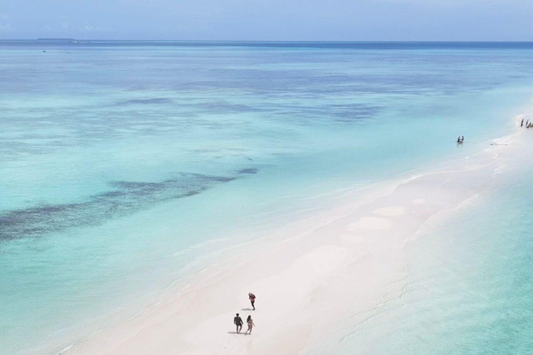 Zanzibar: prywatny rejs wycieczkowy z przewodnikiem na mieliźnie NyundoZanzibar: prywatny rejs wycieczkowy z przewodnikiem na ławicę piaskową Nyundo