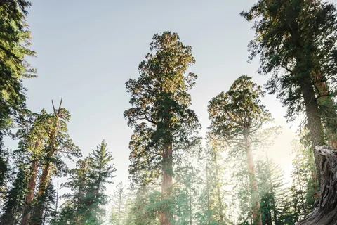 San Francisco: 2-Day Tour to Los Angeles with Parks