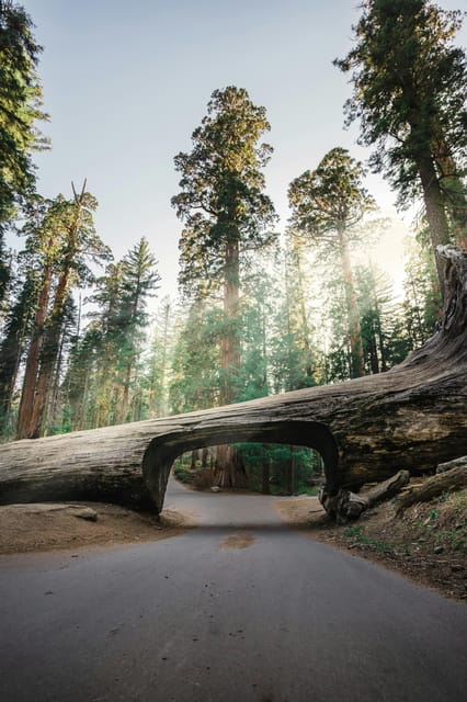 San Francisco: 2-Day Tour to Los Angeles with Parks image 1