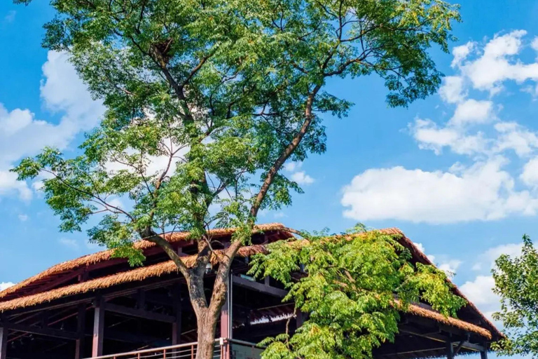 Hangzhou: Liangzhu Archaeological Site UNESCO Heritage Tour