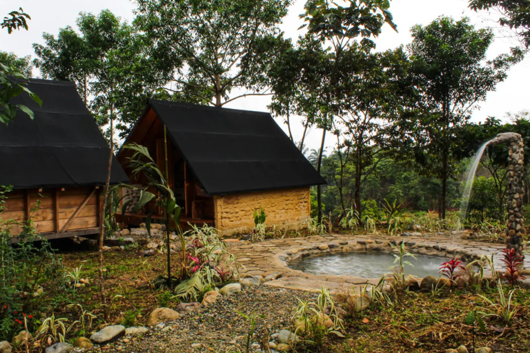 Relax in the Ecuadorian Amazon: Cacao Glamping