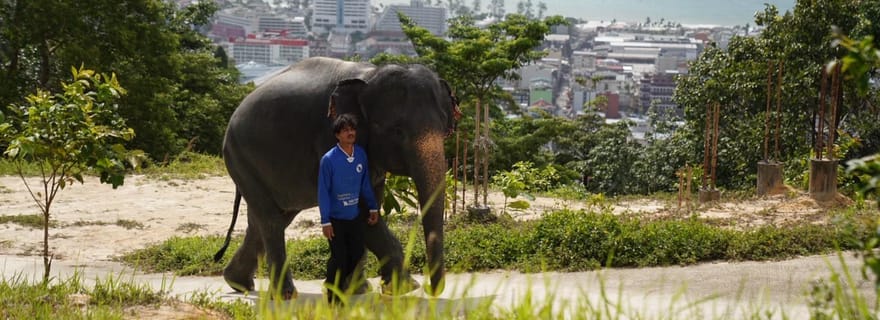 Phuket : visite guidée du sanctuaire des éléphants de Patong