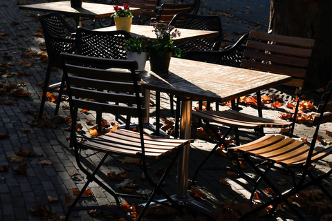 Delft: Photo Walk Workshop with a Professional Photographer
