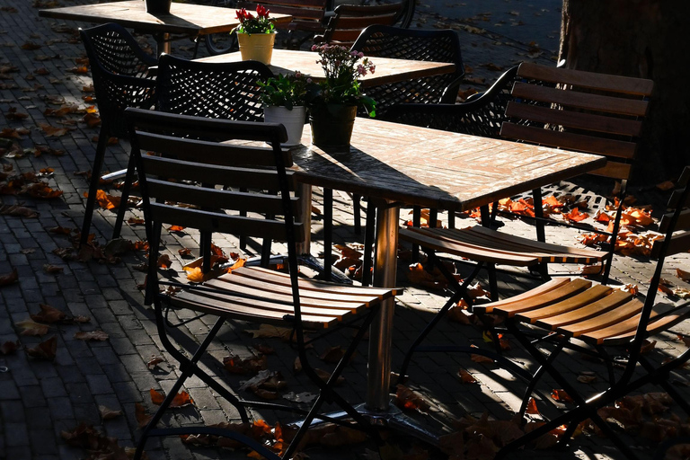 Delft: Photo Walk Workshop with a Professional Photographer