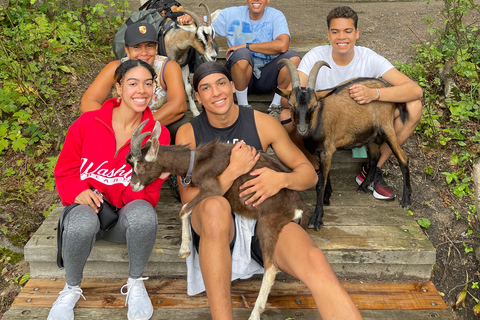Quebec City: Guided Goat Hike & Beaver Dam Visit with Picnic
