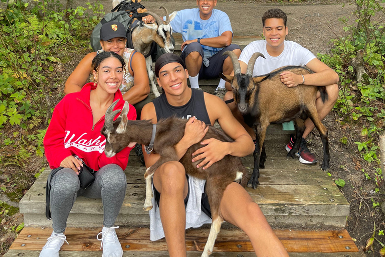 Quebec City: Guided Goat Hike & Beaver Dam Visit with Picnic