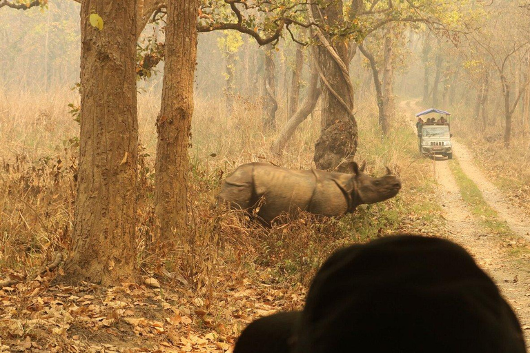 3 jours de safari à Chitwan