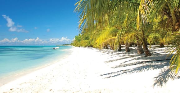 Punta Cana: Saona Island Speedboat and Catamaran Tour